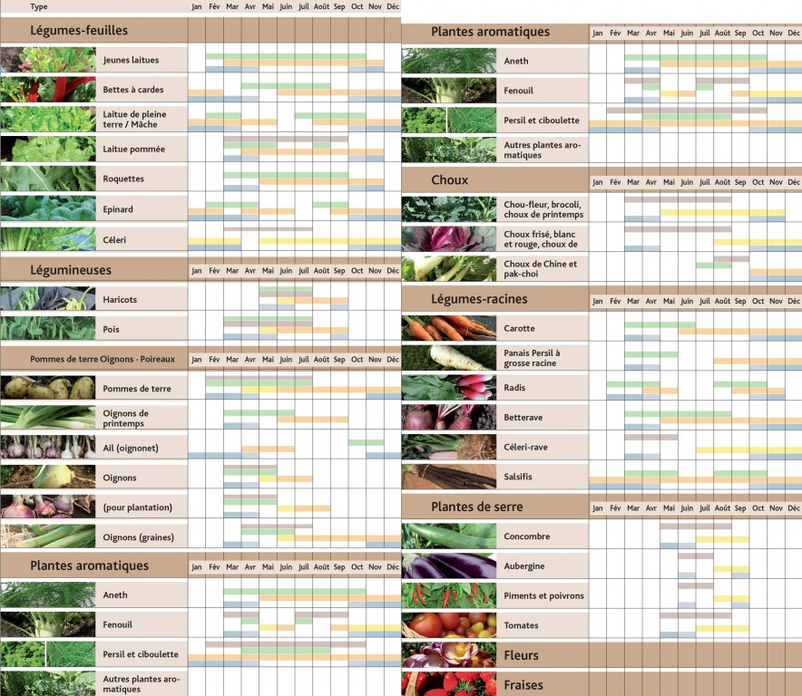 serre-de-jardin-quelles-sont-les-plantes-les-plus-adapt-es-guide