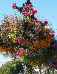 Suspensions fleurs d'été