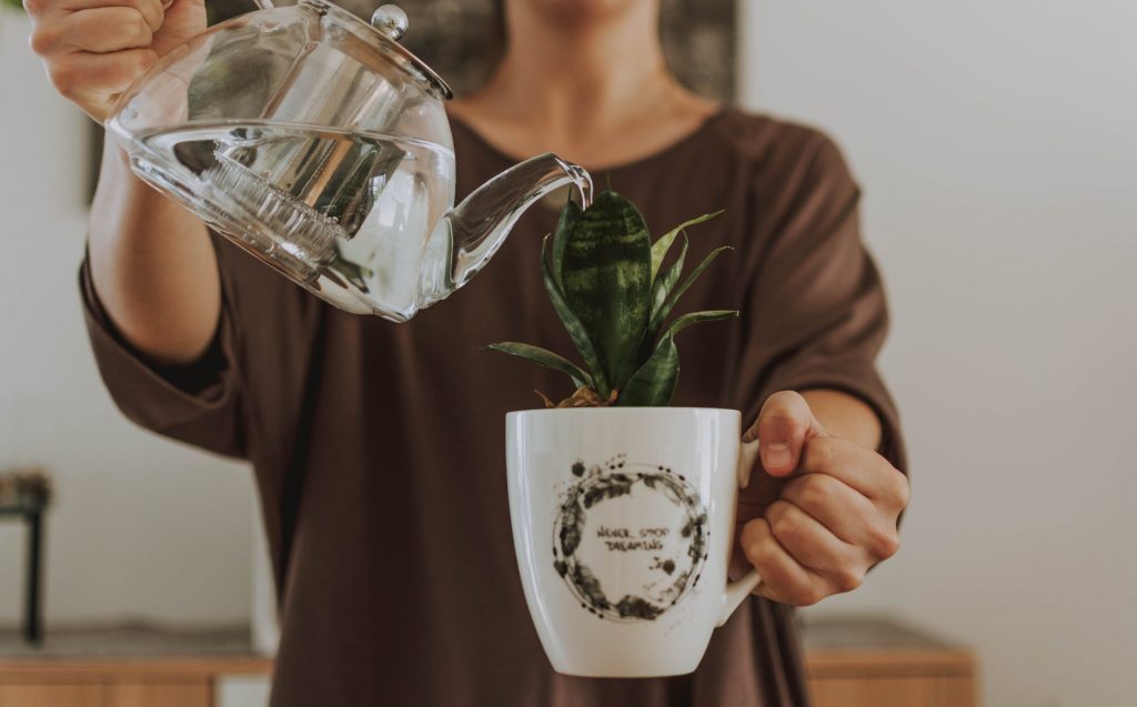 Jeune femme qui arrose ses plantes avec de l'eau adoucie