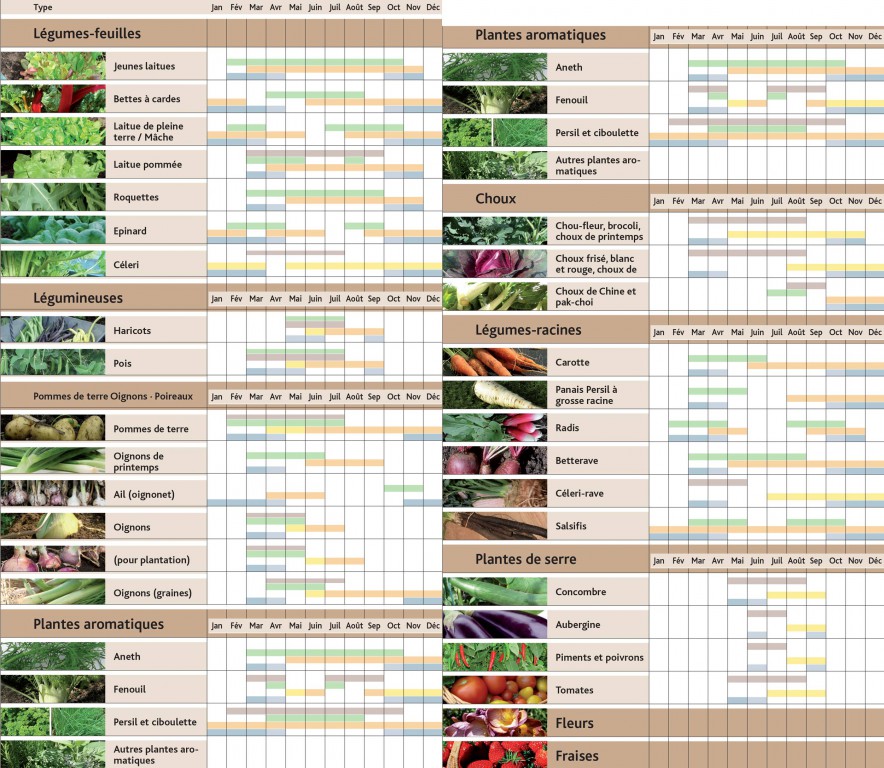 calendrier-plantations-serre