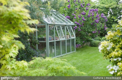 Serre de jardin : quelles sont les plantes les plus adaptées ?