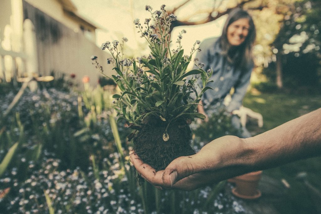 Homme qui tient une plante dans sa main et la montre à une femme qui sourit en arrière-plan